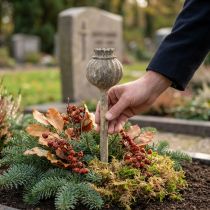 Product Artificial stone deco poppy antique deco brown Ø11cm 30cm