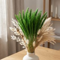 Product Green Bristle Millet Setaria viridis Dry Grass 52cm 28g