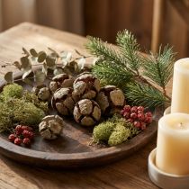 Product Cypress Cones Natural 3-7cm 500g Decorative Use