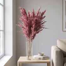 Product Natural Dried Reed Grass in Mauve and Violet Shades – 75-80cm, Set of 10