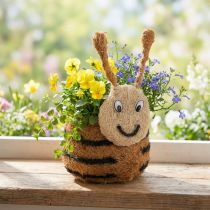 Product Bee-shaped planter as a decorative plant basket for playful interior design, spring and summer, 24cm, 2 pieces