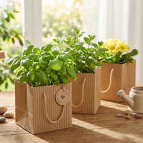 Product Paper Flowerpot Plant Bag Foil Natural 10.5cm 10 Pcs