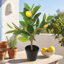 Product Artificial lemon tree in pot, 40cm high, decorative highlight