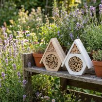 Product Insect Hotel Honeycomb Bee Hotel Wood White Natural H18.5cm 2pcs
