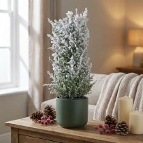 Product Artificial juniper in a pot snowed artificial plant H47cm