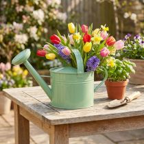 Product Decorative metal watering can, mint color, for plants &amp; decoration, spring/summer, H26cm, 5L