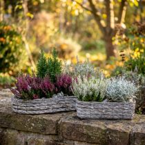 Product Plant bowl, planter gray 48.5/31.5cm set of 2