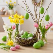 Product Chicken Eggs 5.5cm - 7cm Green 10 pcs