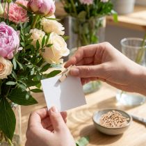 Product Decorative wooden clothespins, 3cm, natural, 72 pieces
