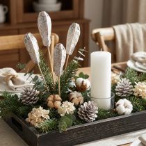 Product Mahogany pods dry decoration natural white 45cm 50 pcs