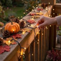 Product LED rice light chain 80 LED garland for outdoors warm white 6m
