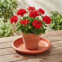 Product Coaster "Linda" Ø33cm terracotta