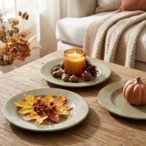 Product Small Decorative Plates 17cm – Set of 6 – Dark Green with Brown Base – Plastic
