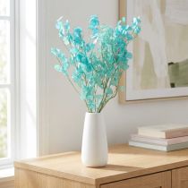 Product Dried silver leaf Lunaria light blue 65-70cm 20g