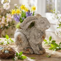 Product Concrete decorative rabbit flowerpot Easter antique grey H27cm