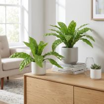 Product Nest fern artificial plants in green 5.5×22cm 2pcs