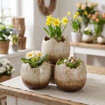 Product Plant Pot Ceramic Egg Broken Cream Brown Ø9.5cm 3 Pcs