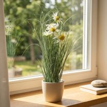 Product Grass with Echinacea artificial in a white pot 56cm