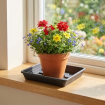 Product Coaster Lara square 29cm x 29cm anthracite 1 pc