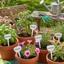 Product Plant Shield 8cm 100pcs