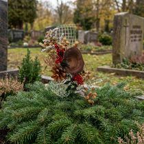 Product Natural materials grave arrangements exotic 4-fold sorted 28 pcs