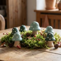 Product Wooden Mushrooms Decorative Mushrooms Wooden Mini Toadstools Mint Green 4cm 12 pcs