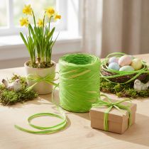 Product Raffia Ribbon Green Yellow Gift Ribbon Bast 200m
