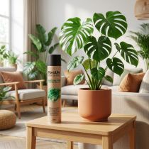 Product Oasis Floralife Leaf Shine Leaf Shine Spray 750ml