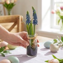 Product Hyacinth artificial Pearl hyacinth blue in glass H22cm 2pcs