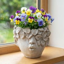 Product Plant head flowerpot concrete look girl's head H13.5cm