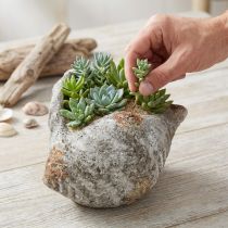 Product Flowerpot shell stone antique grey maritime 22×18×13cm