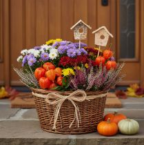 Product Birch Wood Mini Birdhouses with Sticks 5cm Set of 4 for Floral Arrangements