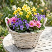Product Basket with handles Chip basket plant basket whitened Ø18cm H12cm