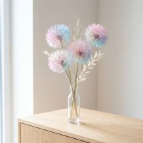 Product Dandelion decoration, dried flower, stabilized and dyed, delicate, durable, 12cm, 4 pieces