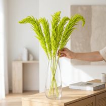 Product Amaranth Dried flowers Dyed light green for special home decor and unique accents 100cm 5 pieces