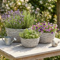 Product Wicker plant basket set, white-grey, shabby chic decoration, 3 pieces