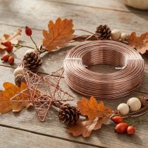 Product Aluminum wire Ø2mm aluminum wire craft wire light brown 500g 60m