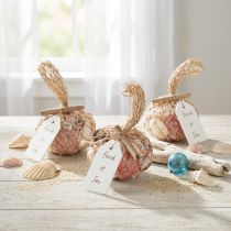 Product Maritime decorative shells mix in a net, colorful, 3.5-6 cm, 300 g × 3 pieces
