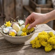 Product Deco moss yellow reindeer moss for handicrafts lemon yellow 500g