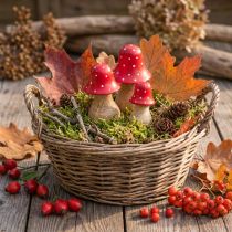 Product Fly agaric decoration mushrooms wooden mushrooms autumn decoration H6/8/10cm set of 3