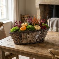 Product Plant bowl plant basket birch vines decorative basket 17×15×34cm