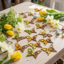 Product Scatter decoration butterflies wood green/yellow/orange 3×4cm 24 pcs