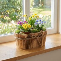 Product Wooden decoration Oval decorative bowl wood Rustic decoration 23x13x10cm