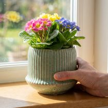 Product Flower pot ceramic planter with grooves light green Ø14.5cm H12.5cm