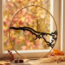 Product Window decoration owl on branch autumn, decorative ring metal 22cm
