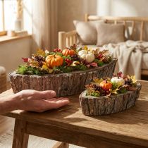 Product Plant bowl plant box wood Jardiniere 46/31.5 cm set of 2