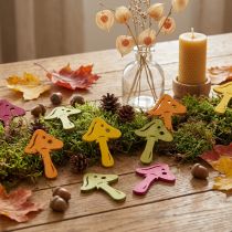 Product Scattered mushrooms, autumn decoration, lucky mushrooms for decorating orange, yellow, green, pink H3.5/4cm W4/3cm 72 pcs