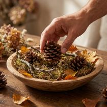 Product Natural Pine Cones from Pinus Pinea, Medium Size, Approx. 8-10cm, 50 Pieces