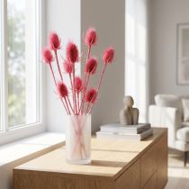 Product Pink Dried Teasel - Natural Thistle 53cm 10 Stems