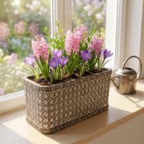 Product Planter Planter Ceramic Bowl Brown, White 23×11×11cm